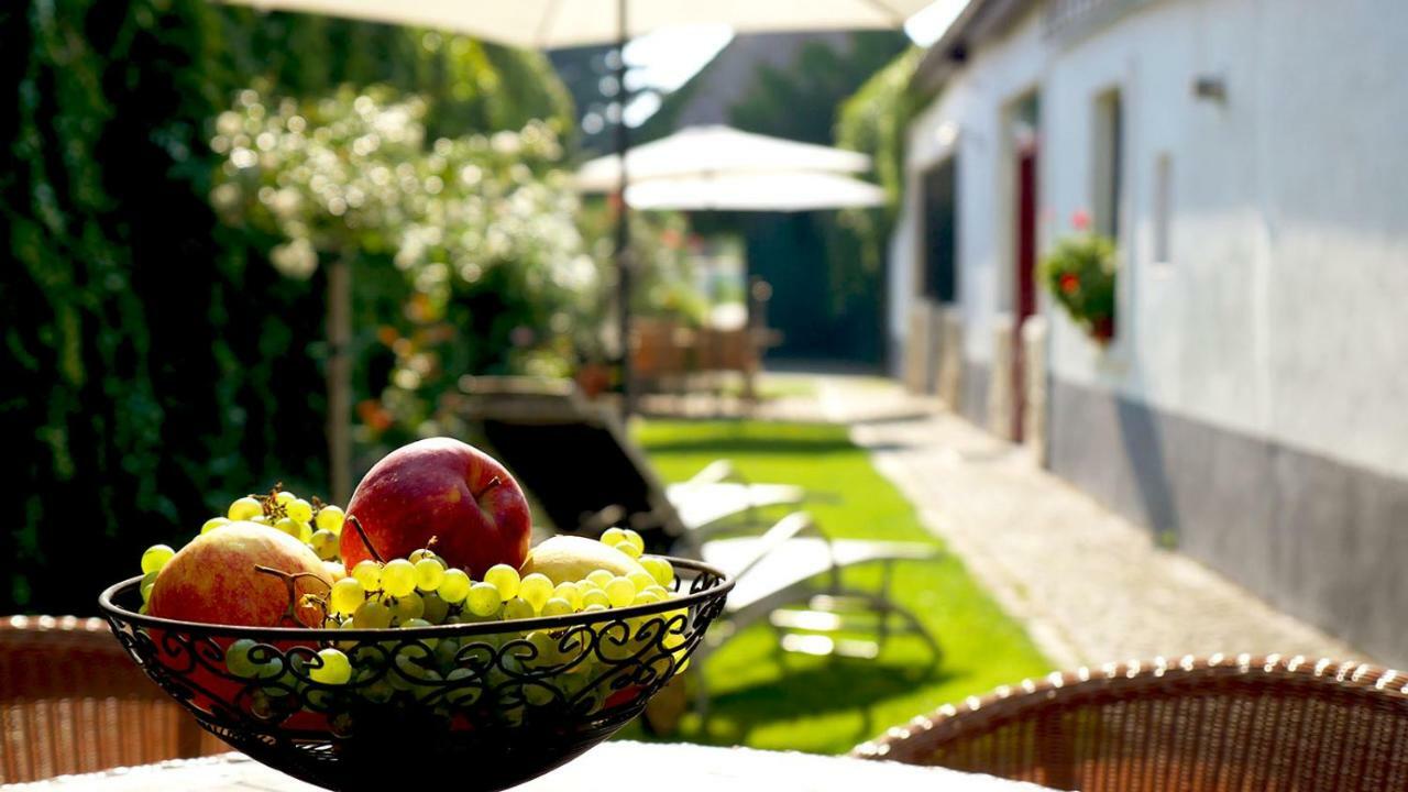 Gaestehaus Doris Purbach am Neusiedlersee Ngoại thất bức ảnh